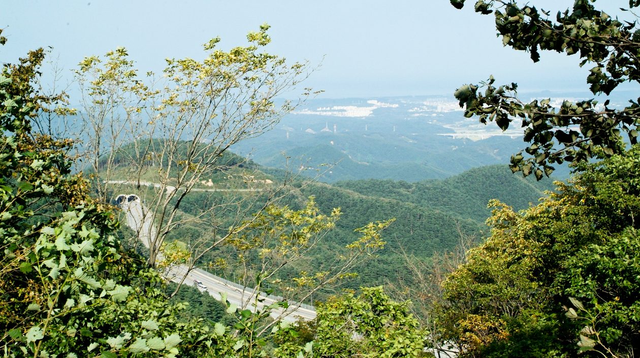 대관령옛길1